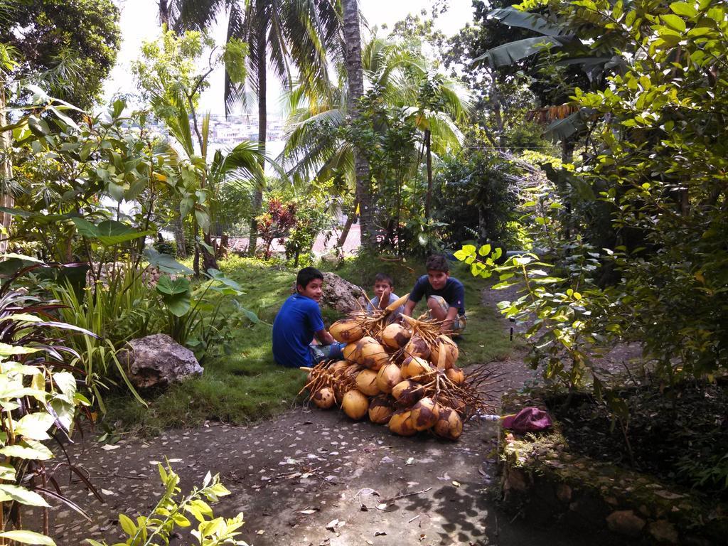 Zapote Tree Inn Flores Exterior foto